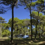 Camp Medulin Istria (3)