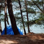 Camp Tasalera Istria (4)